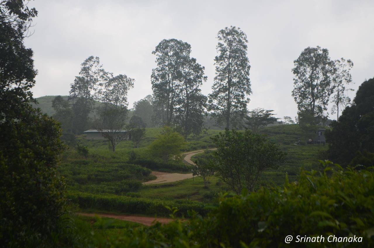 The Rainforest Ecolodge - Sinharaja Deniyaya Exterior foto